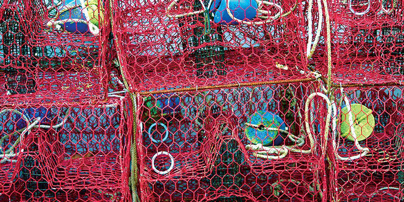 Lobster Trap 5e59686094f34