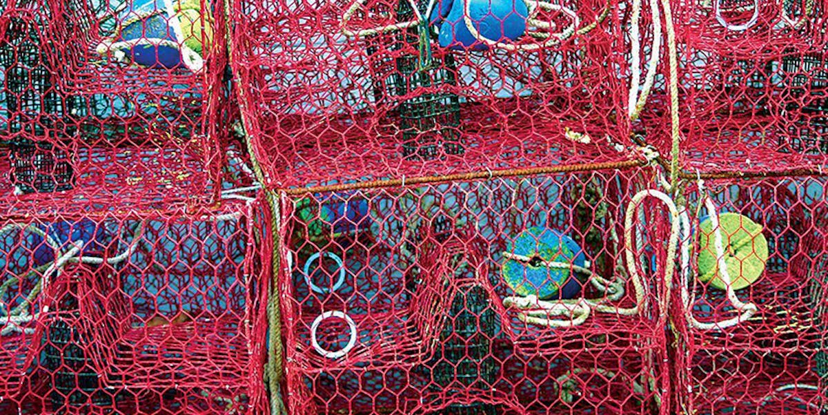 Consider the Lobster Trap