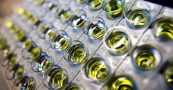 Cobas0099514 5e6fa6b7014f7 Cobas0099514 5e6fa6b7014f7