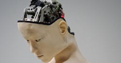 Franck V Ykw0 Jj P7rl U Unsplash 5e68f3a24311b Franck V Ykw0 Jj P7rl U Unsplash 5e68f3a24311b