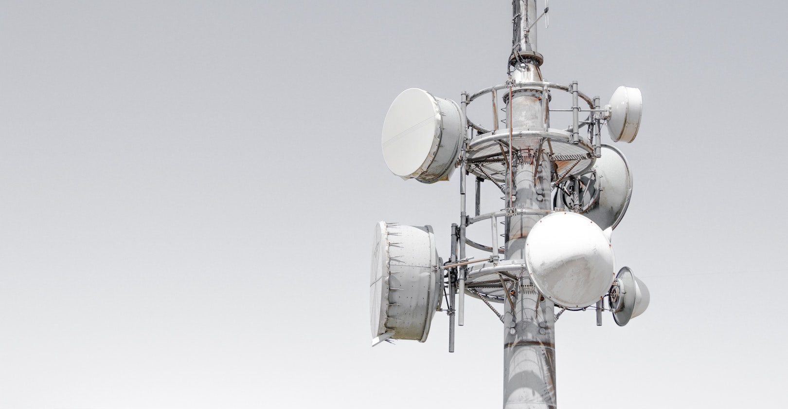 Tony Stoddard Dg Zx Bn Ze Qo8 Unsplash 5e5d1ca051bd4