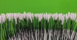 Img 20200406 224006 5e8f3890b553b Img 20200406 224006 5e8f3890b553b