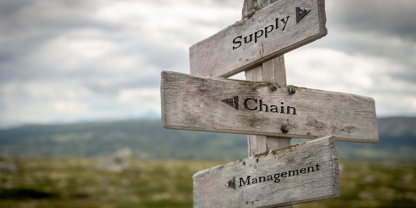 Supply Chain Management 5e8b9844269e7