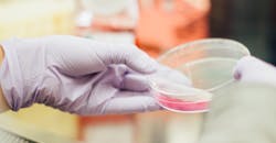 Drew Hays T G Yrlchf Ob E Unsplash 5e8cbef1e043f Drew Hays T G Yrlchf Ob E Unsplash 5e8cbef1e043f