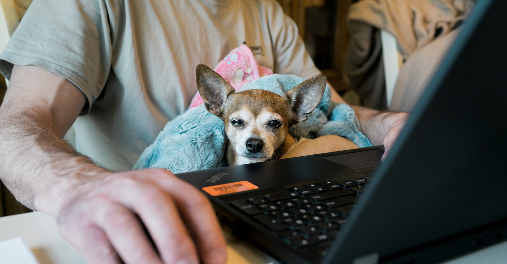 Allie H9 Ls95 Wl8t M Unsplash 5ed0f6929fd57