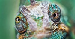 David Clode L Xfaf 8wn Ns Unsplash 5eecb3e221f81 David Clode L Xfaf 8wn Ns Unsplash 5eecb3e221f81