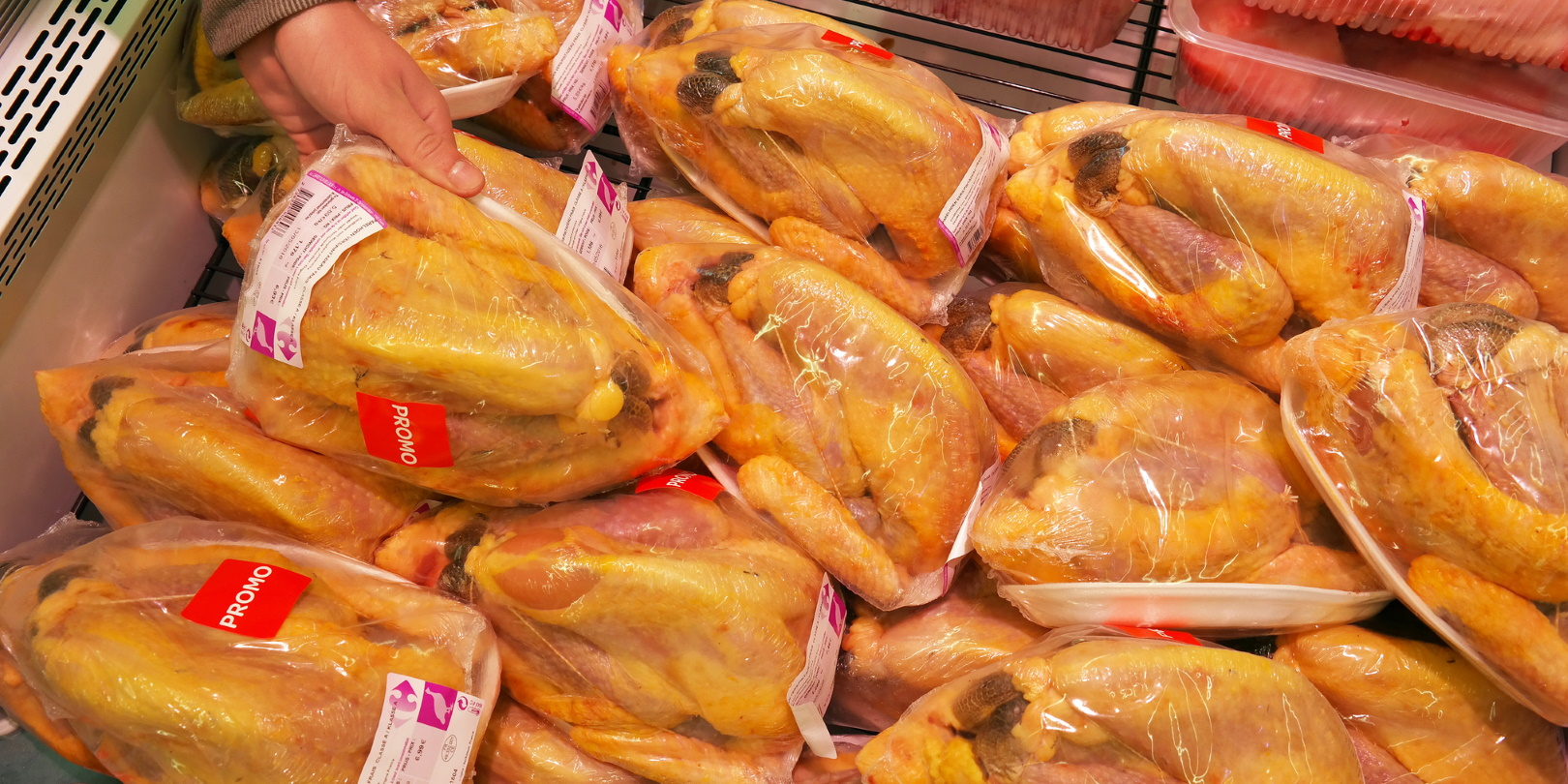 Packaged Poultry Id 90279511 Rene Van Den Berg Dreamstime 5ed919b4822b9