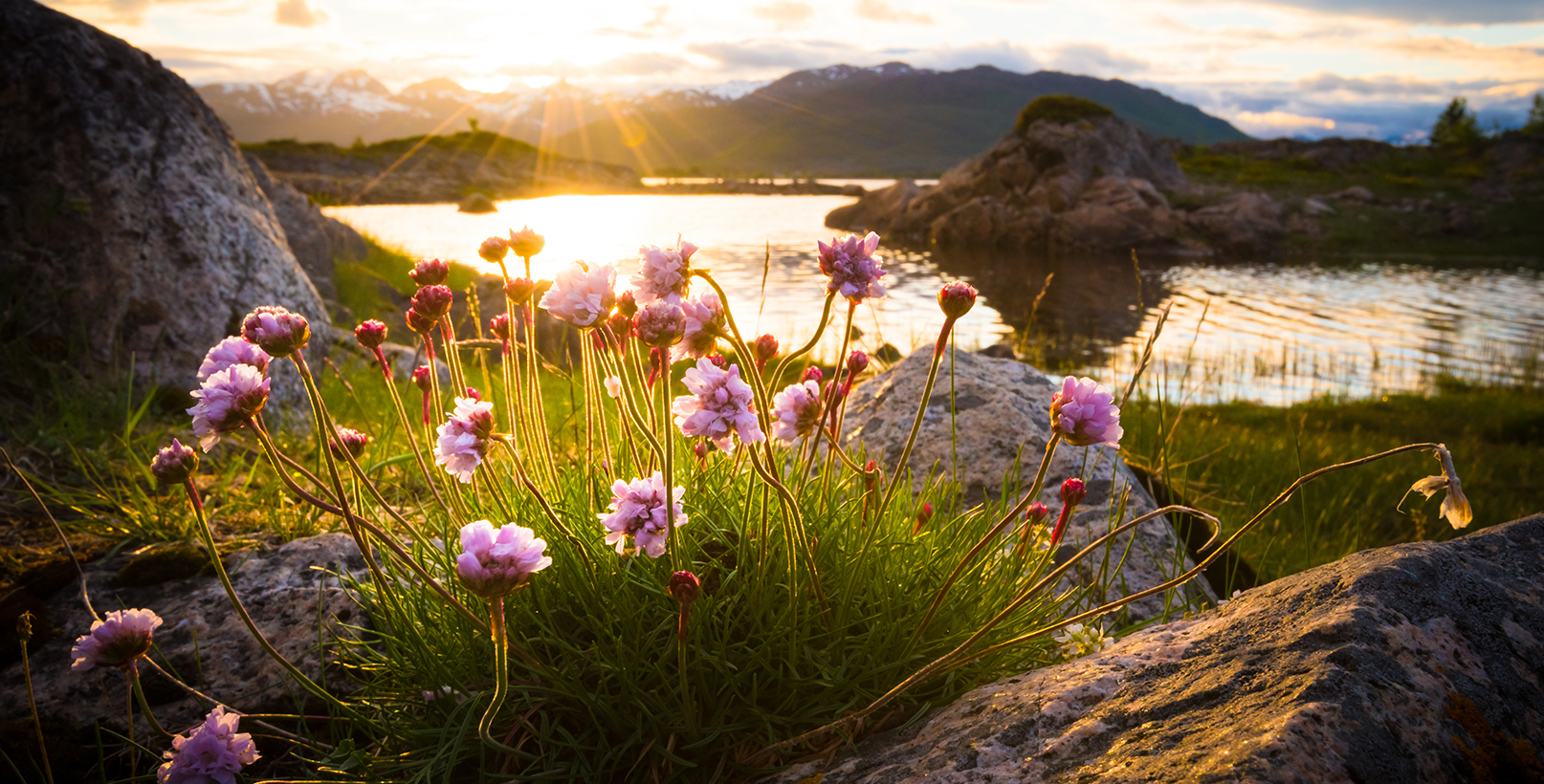 Thriving After Chaos 5eed22c65a31f