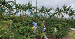 True transparency means being able to track your coffee to the grower. True transparency means being able to track your coffee to the grower.