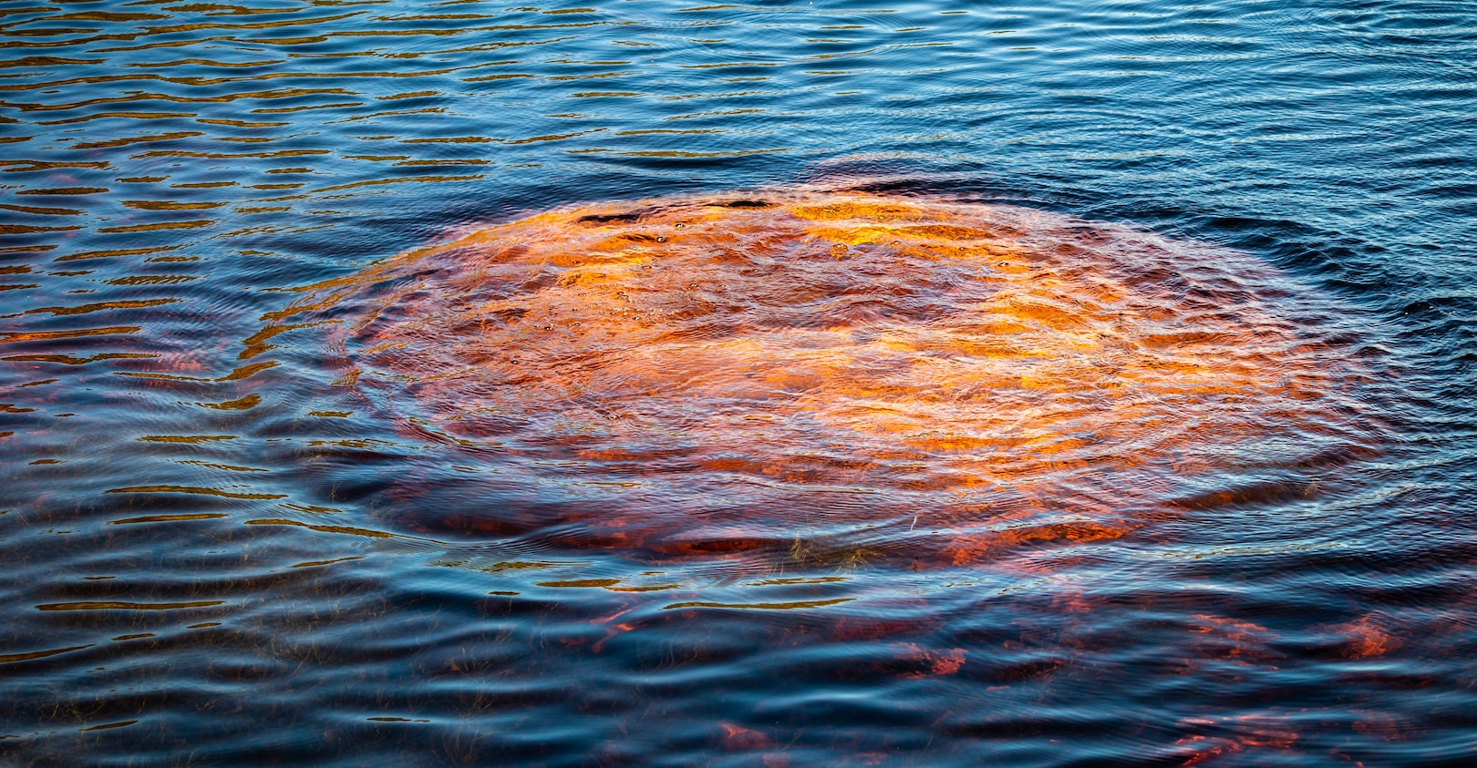 Grant Durr S Xe Bv Psz 0w Unsplash 5efe02deb66df