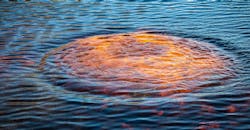 Grant Durr S Xe Bv Psz 0w Unsplash 5efe02deb66df Grant Durr S Xe Bv Psz 0w Unsplash 5efe02deb66df