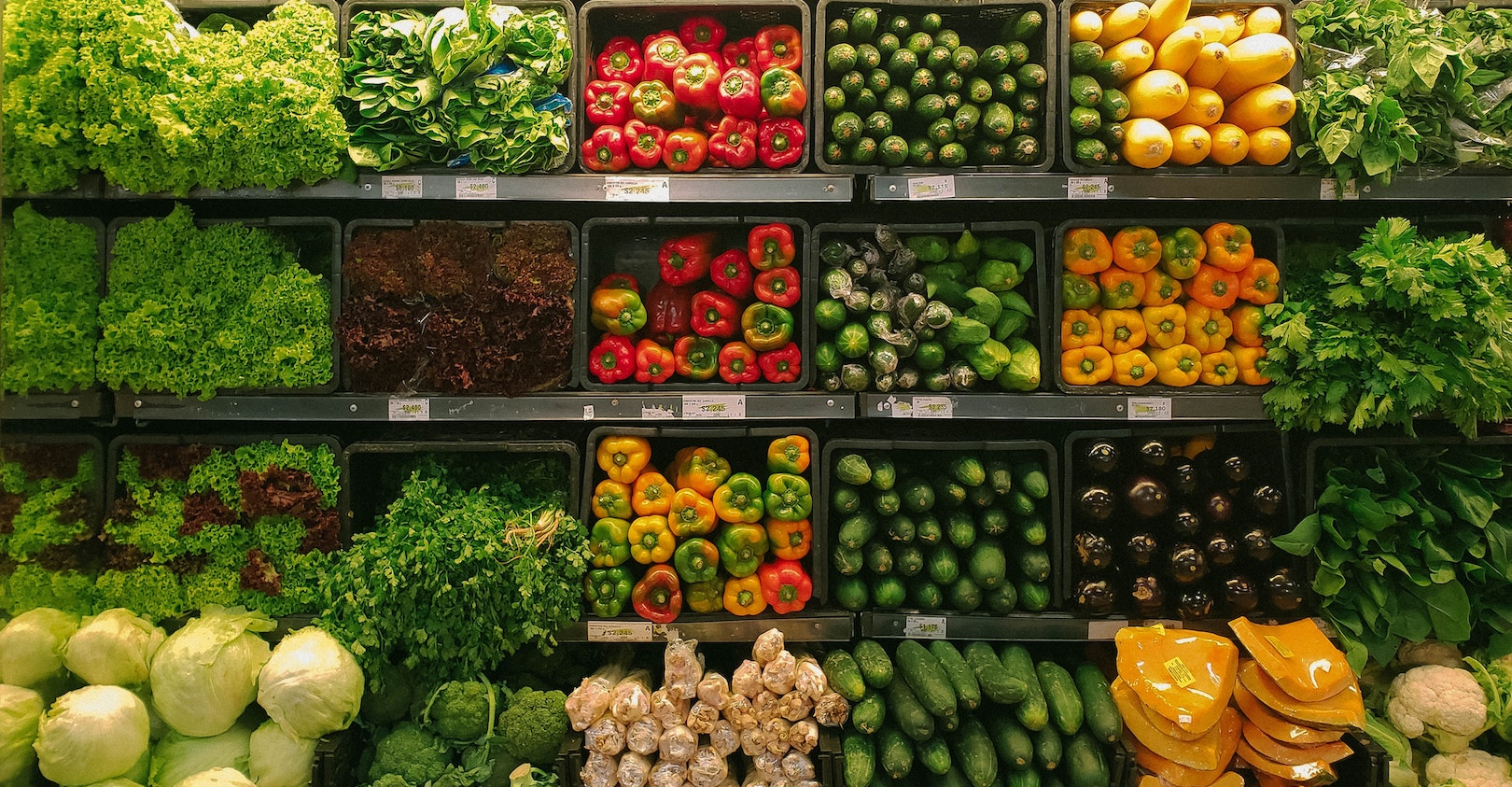 Nrd D6 Tu L3ch Le Unsplash 5f20326f6def1