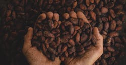 Pablo Merchan Montes S Cbq6u K Cy My Unsplash 5f0e064654f00 Pablo Merchan Montes S Cbq6u K Cy My Unsplash 5f0e064654f00