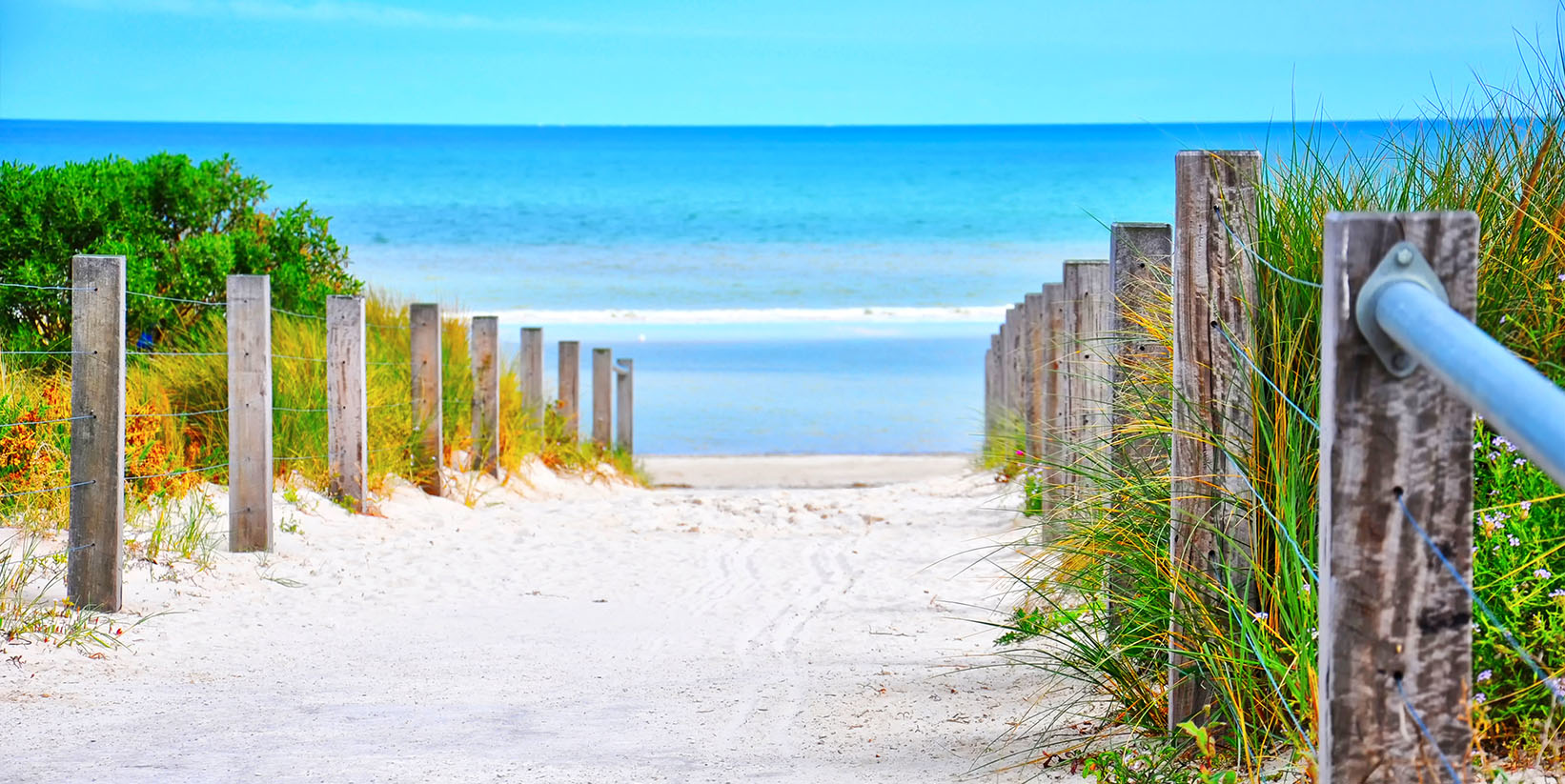 Path To Success 5f32bcbaef3a8