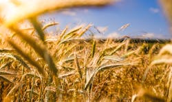 Raphael Rychetsky Li9 Jf Uh Qf Oy Unsplash Raphael Rychetsky Li9 Jf Uh Qf Oy Unsplash