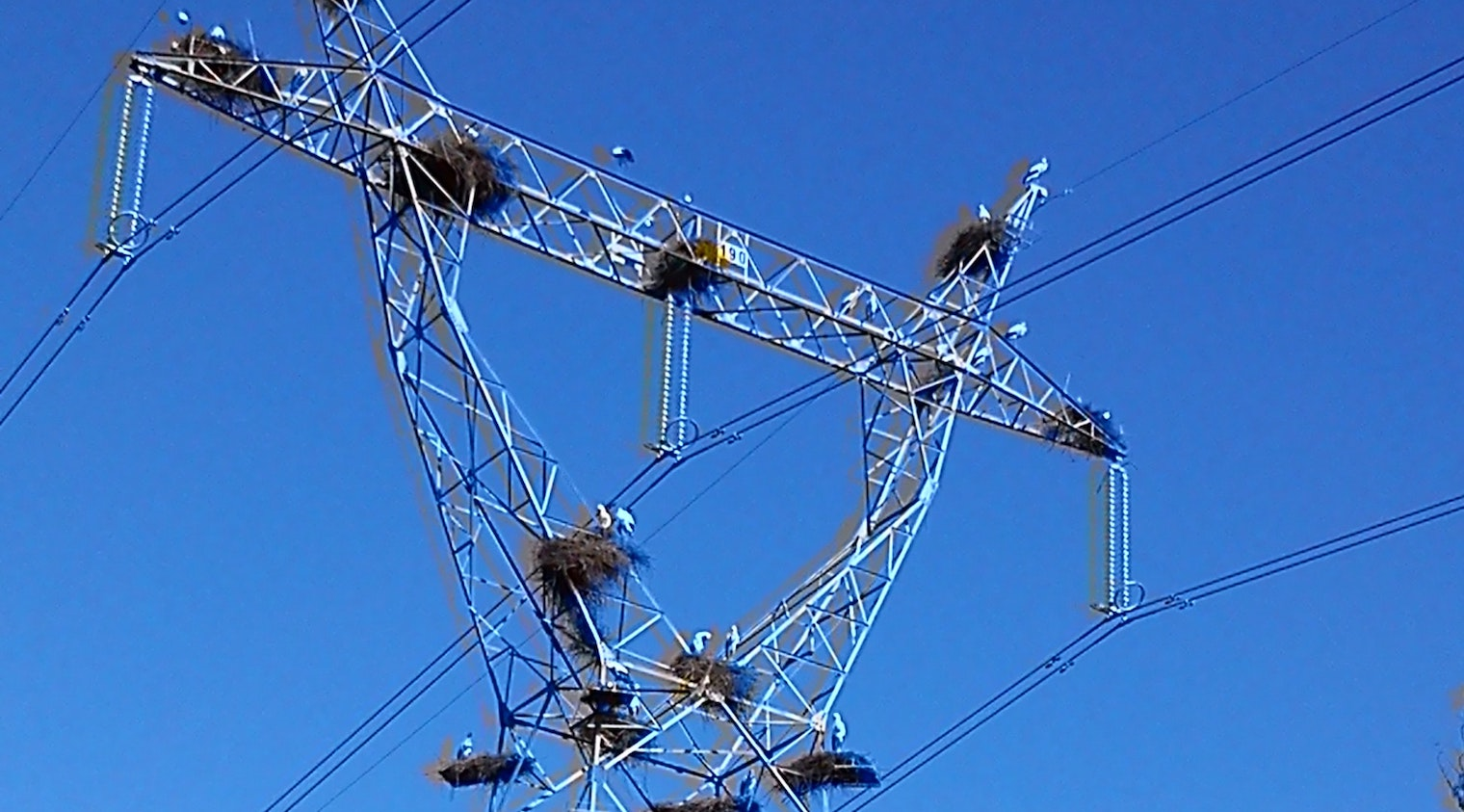 L Filipe C Sousa M Zj N Mw Jf Bs U Unsplash 5f609c5881684