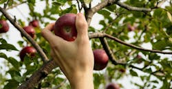 Skylar Jean B Mtc9 Y Fml Nu Unsplash 5f721c6906b7a Skylar Jean B Mtc9 Y Fml Nu Unsplash 5f721c6906b7a