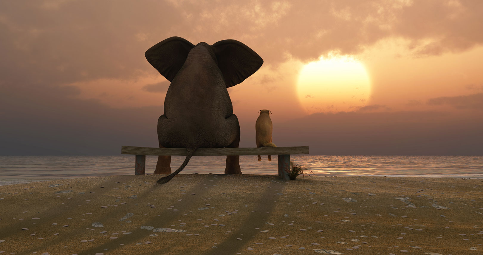 Ww Dreamstime Xxl 23465099 5f7f927ed8e17