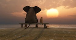 Ww Dreamstime Xxl 23465099 5f7f927ed8e17 Ww Dreamstime Xxl 23465099 5f7f927ed8e17