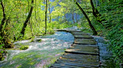Clear Path