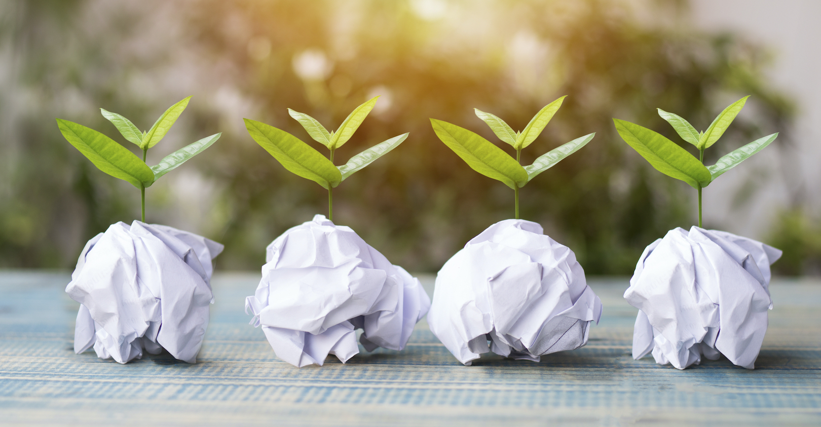 Dreamstime M 100031269 5f902f266a15b