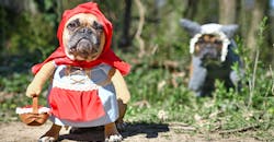 Dreamstime M 198164597 5f7ded0610663 Dreamstime M 198164597 5f7ded0610663