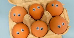 Eggs 5fbd3ab35a7ba Eggs 5fbd3ab35a7ba