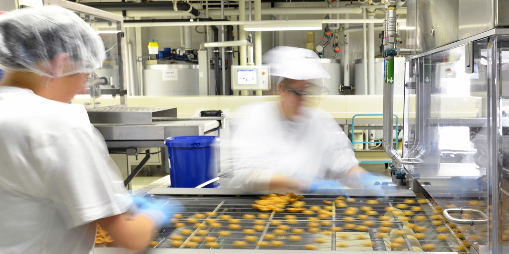 Food Production Line Women Blurry Food Manufacturing Jobs Pralines Industryviews Dreamstime 5fa581655c943