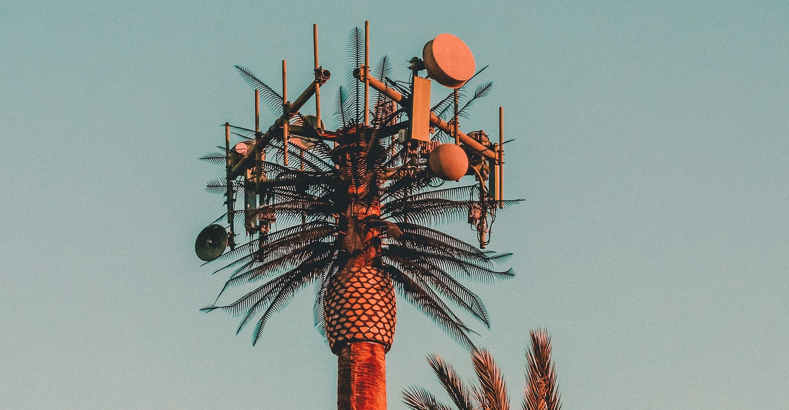 Ralph Ravi Kayden M Alj Aar13c Unsplash 5fb9b70aa7287