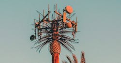 Ralph Ravi Kayden M Alj Aar13c Unsplash 5fb9b70aa7287 Ralph Ravi Kayden M Alj Aar13c Unsplash 5fb9b70aa7287