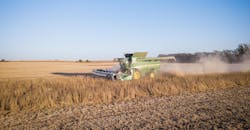 Scott Ymker Uv Mr Y Jey F0 E Unsplash 5fb4148e37df7 Scott Ymker Uv Mr Y Jey F0 E Unsplash 5fb4148e37df7