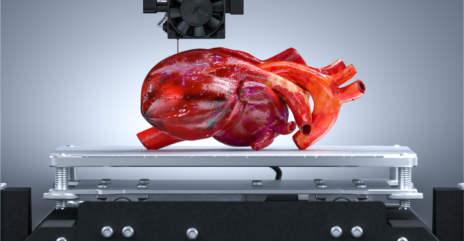 Dreamstime M 167798622 5ff5ecdf9729b