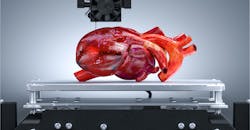 Dreamstime M 167798622 5ff5ecdf9729b Dreamstime M 167798622 5ff5ecdf9729b