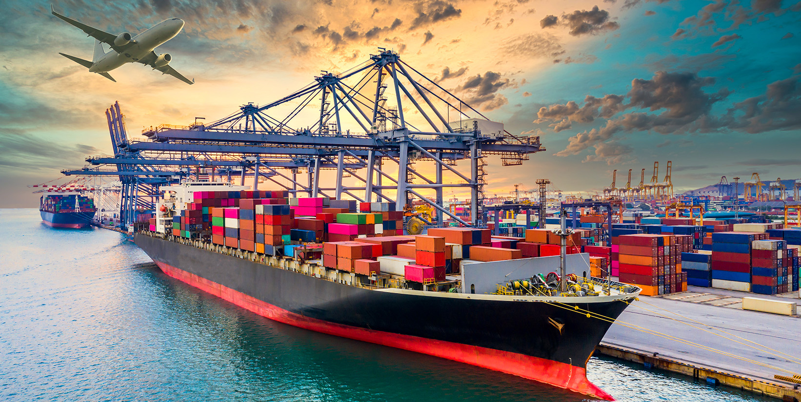 International Trade 600f2cfdeed12