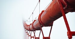 Jj Ying 4 Xv Azn8 W Ho Unsplash 602d7ac85e45a Jj Ying 4 Xv Azn8 W Ho Unsplash 602d7ac85e45a