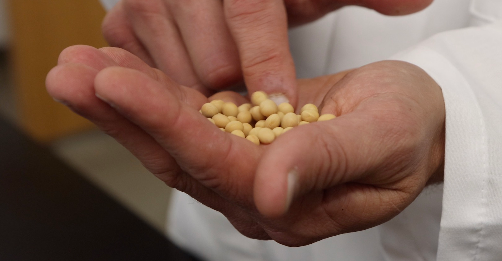 Soybeans 6044037589f7a