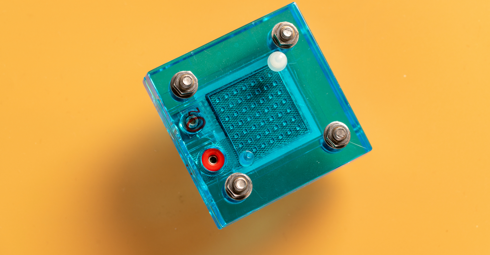 Dreamstime M 186678003 603e71df57b64