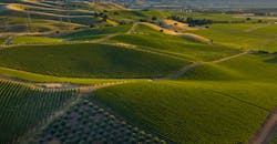 Dji 0474 Webt Dji 0474 Webt