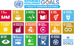 Sustainability Pledges Are Important, But More Needs to be Done Sustainability Pledges Are Important, But More Needs to be Done