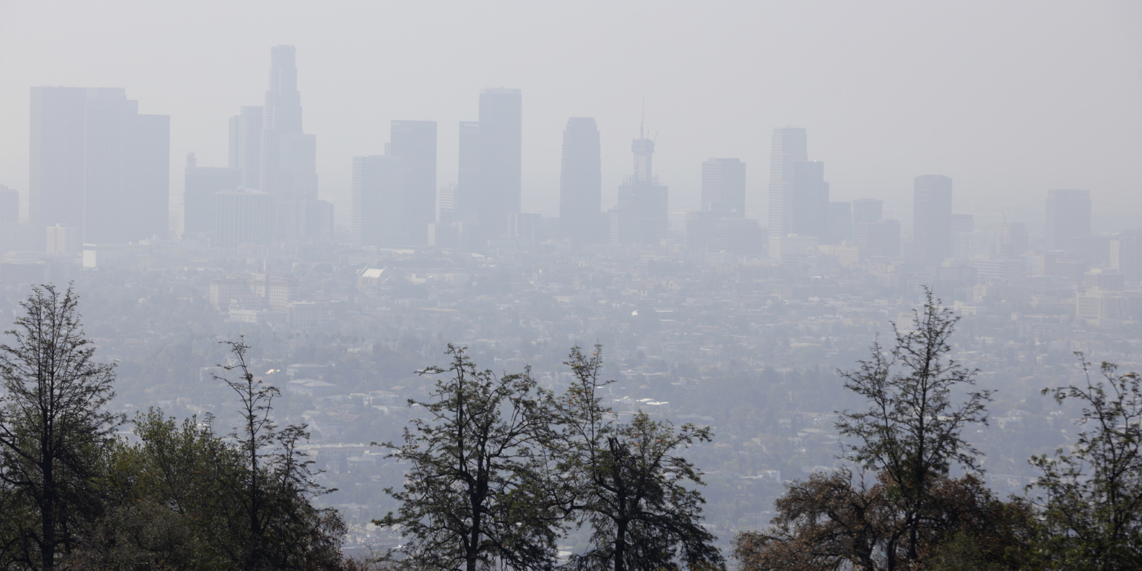 California Skyline Smog Emissions Exhaust Felix Mizioznikov Dreamstime 6080e38a0d21a