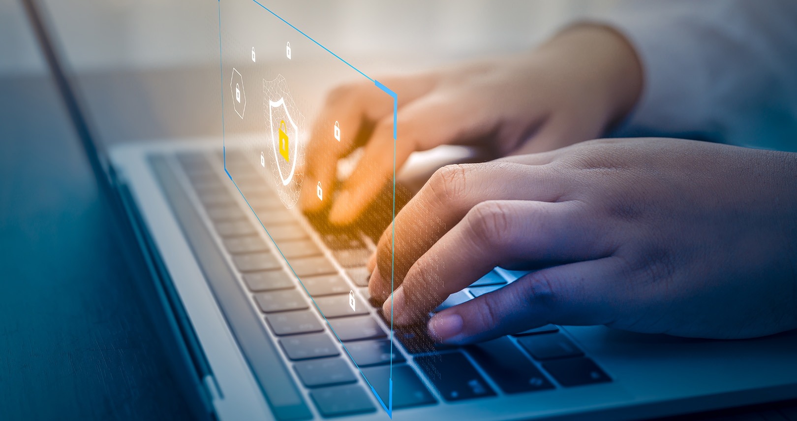 Cyber Fraud 607de8790592c