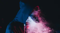 Wild Vibes 1 Rn Pg7t Et S Unsplash
