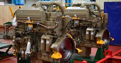 Dreamstime M 179527197 609566399a3c2 Dreamstime M 179527197 609566399a3c2