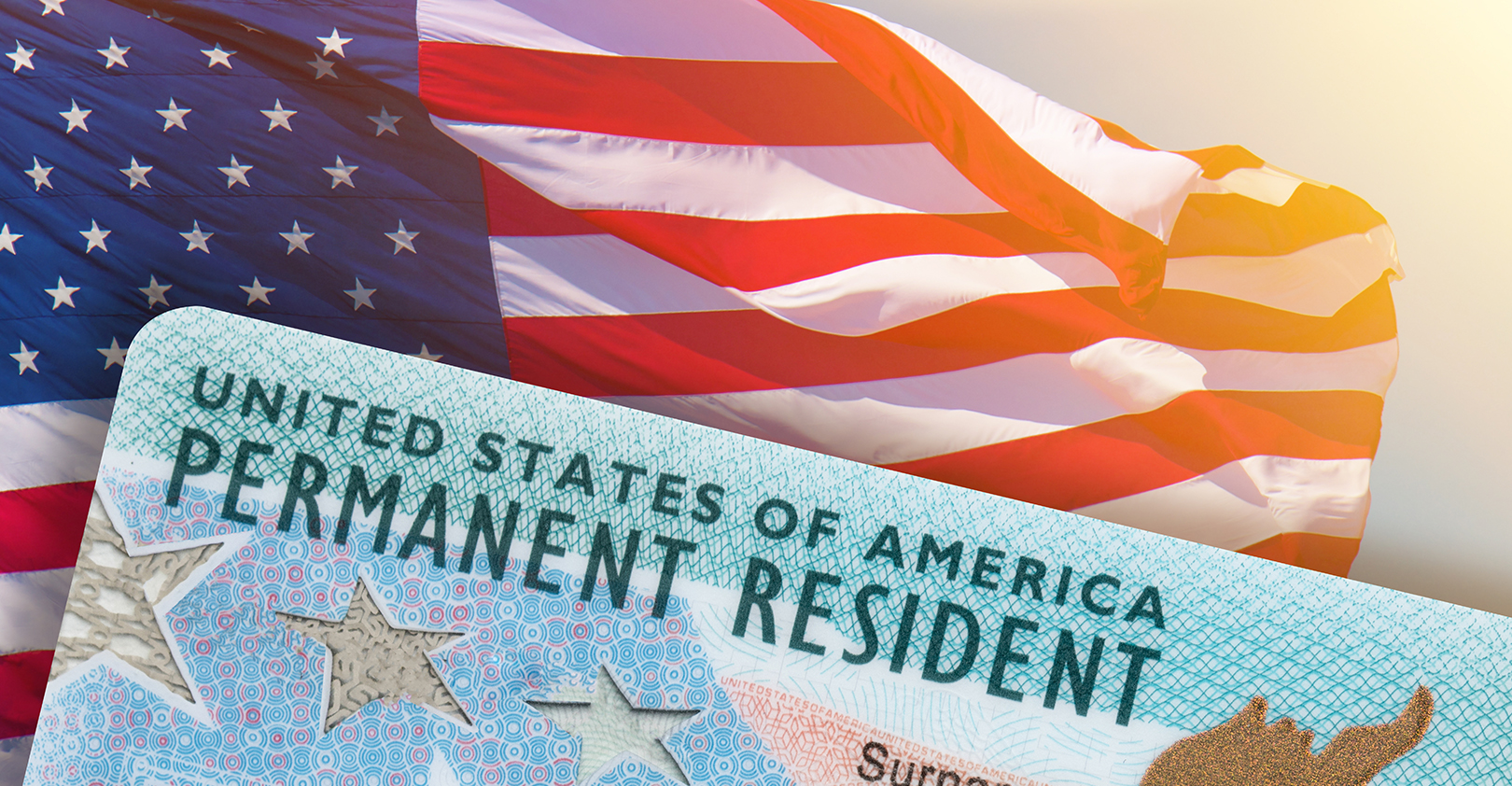 Green Card 60afbb7d176d5