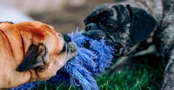 Meritt Thomas Ifk5 R Op Timo Unsplash 6091648348953 Meritt Thomas Ifk5 R Op Timo Unsplash 6091648348953