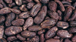 Cocoa Chocolate Beans Id 7976696 &copy; Alena Brozova Dreamstime