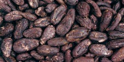 Cocoa Chocolate Beans Id 7976696 Alena Brozova Dreamstime 60cc076d95d48 Cocoa Chocolate Beans Id 7976696 Alena Brozova Dreamstime 60cc076d95d48
