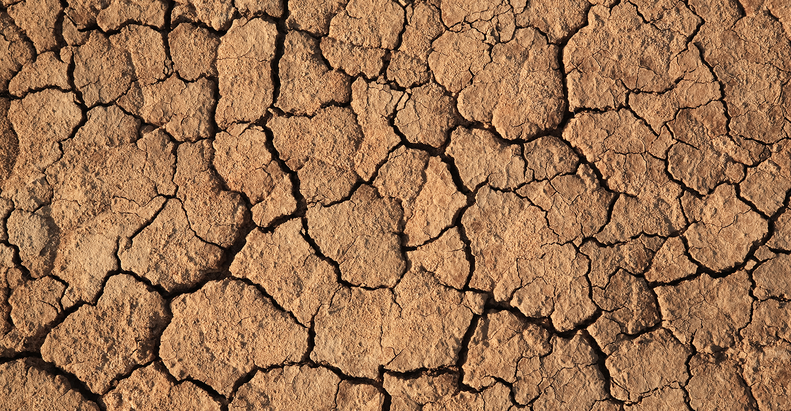 Cracks 60c8e95d9f89e