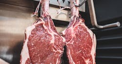 Kyle Mackie M Enl Qv E Qv Y Unsplash 60b6499c9af33 Kyle Mackie M Enl Qv E Qv Y Unsplash 60b6499c9af33