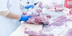 Pork Production Plant Butcher Knife Sharp Meat Meatpacking Anat Loungtip Dreamstime 60c18782295a0 Pork Production Plant Butcher Knife Sharp Meat Meatpacking Anat Loungtip Dreamstime 60c18782295a0